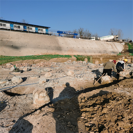 德州麻豆国产视频