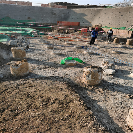 德州麻豆国产视频