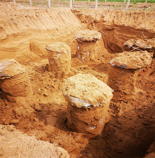 德州麻豆国产视频