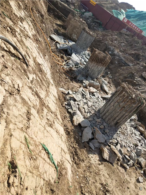 青岛麻豆国产视频