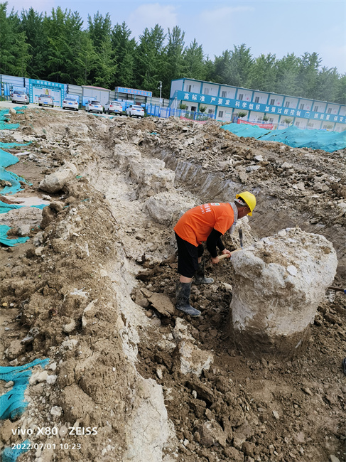 济南麻豆国产视频