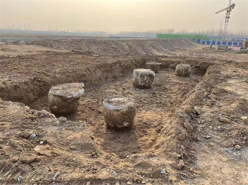 新沂麻豆国产视频