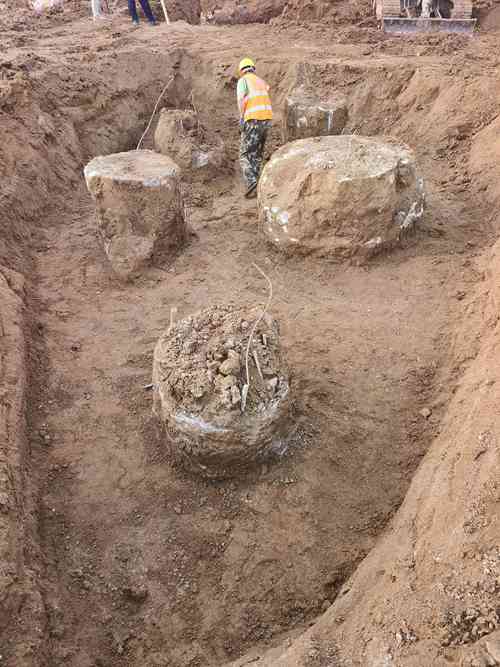 邹城麻豆国产视频