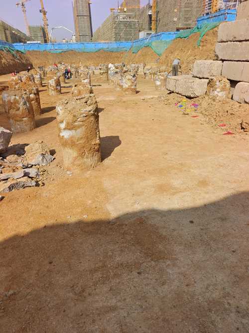 微山麻豆国产视频