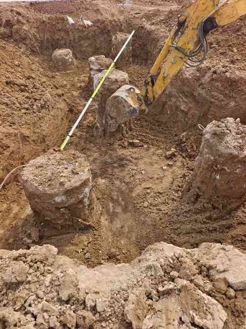 鱼台麻豆国产视频