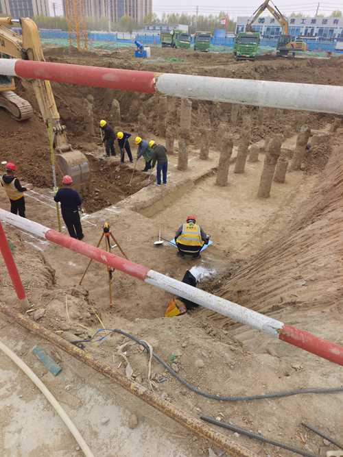 山东麻豆国产视频